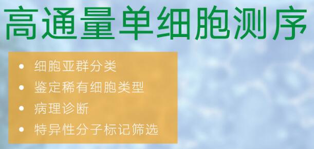 1635300718181801.jpg 1-1Q1011J014E6.jpg