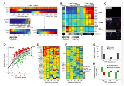 1635301755190708.png 1-1PFG1313VL.png